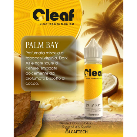 PALM BAY CLEAF DREAMODS